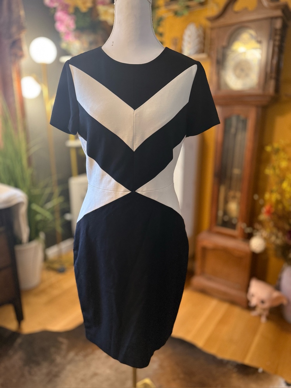 Vince Camuto SZ 6
